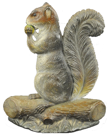 Bradley and Hubbard's Squirrel